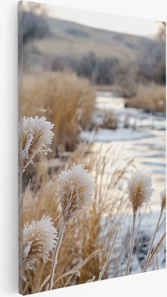 Saammp Canvas Schilderij - bevroren struisriet - Natuur - Landschap - 40x50 - Foto op canvas - Wanddecoratie - Muurdecoratie Woonkamer - Slaapkamer decoratie - Canvas Print Multicolor