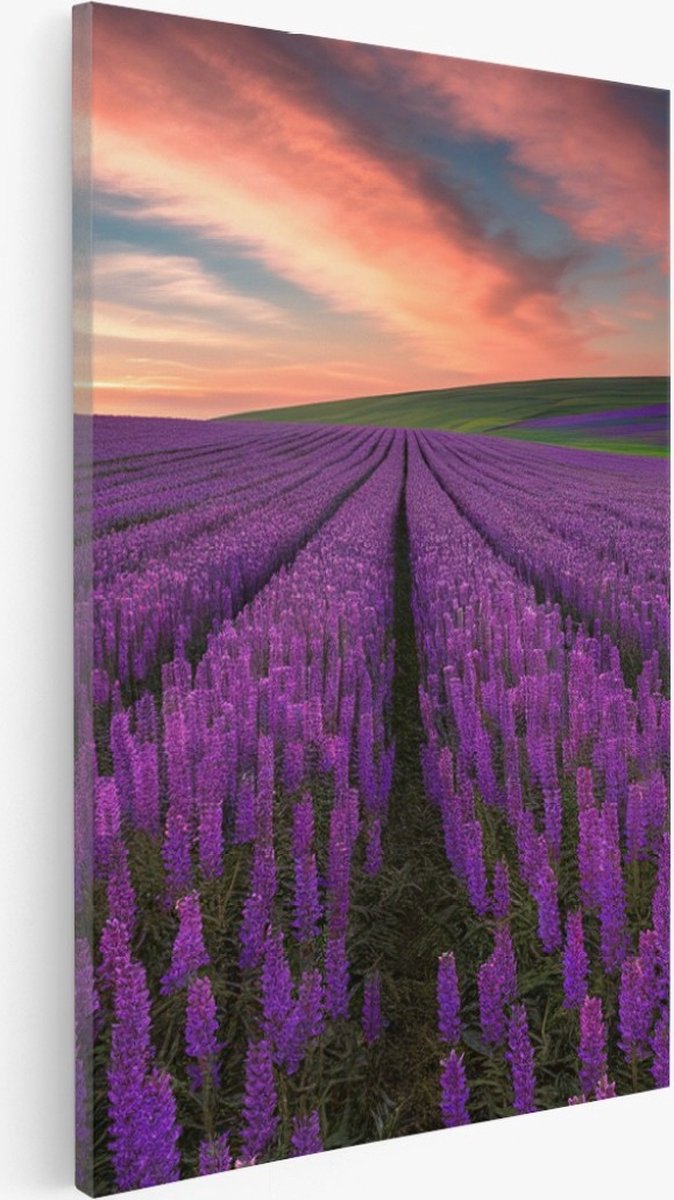 Saammp Canvas Schilderij - Lavendelveld - Natuur - Landschap - 40x50 - Foto op canvas - Wanddecoratie - Muurdecoratie Woonkamer - Slaapkamer decoratie - Canvas Print Multicolor