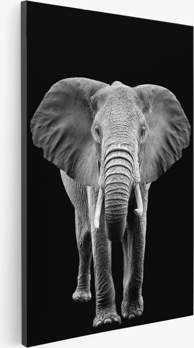 Saammp Canvas Schilderij - Olifanten portret - Natuur - Dieren - 60x90 - Foto op canvas - Wanddecoratie - Muurdecoratie Woonkamer - Slaapkamer decoratie - Canvas Print Multicolor