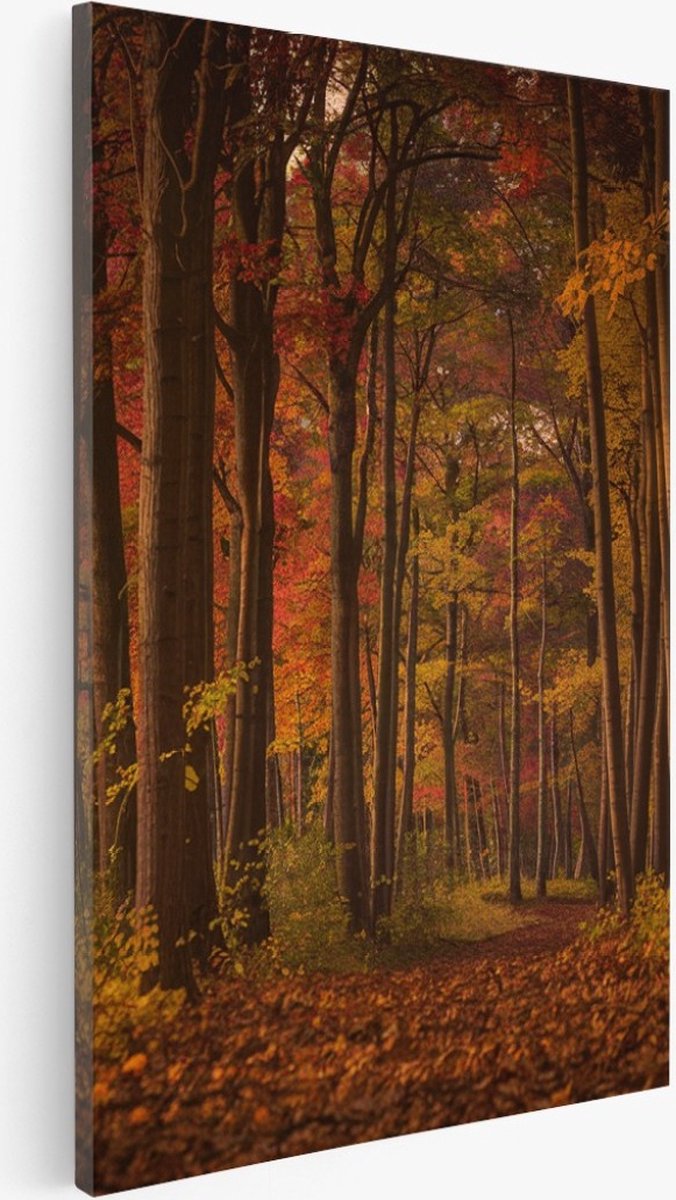 Saammp Canvas Schilderij - Herfstbos - Pad met zonsondergang - Landschap - Natuur - 60x90 - Foto op canvas - Wanddecoratie - Muurdecoratie Woonkamer - Slaapkamer decoratie - Canvas Print Multicolor