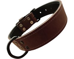 K9 World, honden halsband, donker bruin leder, dubbel gestikt, 4cm breed, 55-65cm, black edition hardware