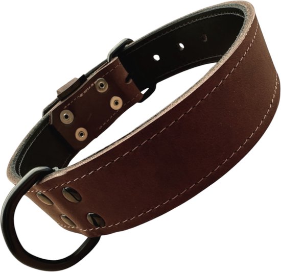 K9 World, honden halsband, donker bruin leder, dubbel gestikt, 4cm breed, 55-65cm, black edition hardware