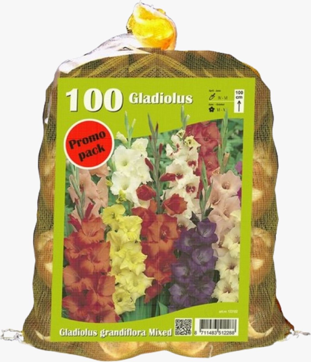 Gladiool (Gladiolus) - Gladiolen grootbloemig (Voordeelzak) - Snijbloemen - Zomerbollen - Voorjaarsbollen