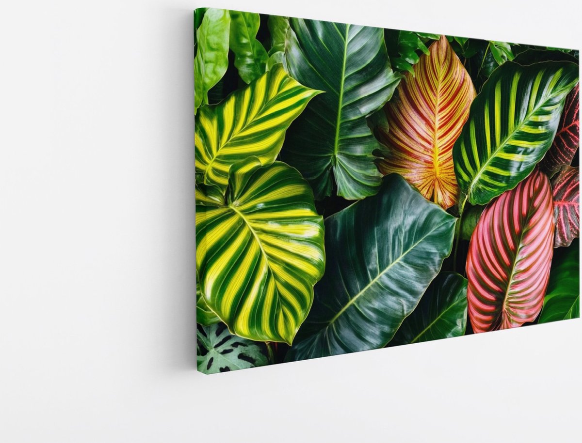Saammp Canvas Schilderij - Kleurrijke bladeren - Natuur - Landschap - 90x60 - Foto op canvas - Wanddecoratie - Muurdecoratie Woonkamer - Slaapkamer decoratie - Canvas Print Multicolor