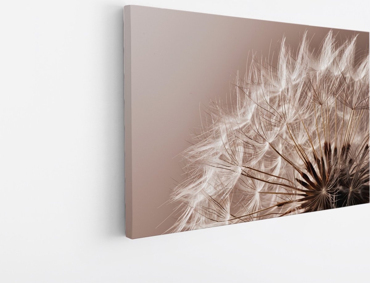 Saammp Canvas Schilderij - Pluizige Paardebloem - Natuur - Abstract - 60x40 - Foto op canvas - Wanddecoratie - Muurdecoratie Woonkamer - Kantoor Decoratie Multicolor