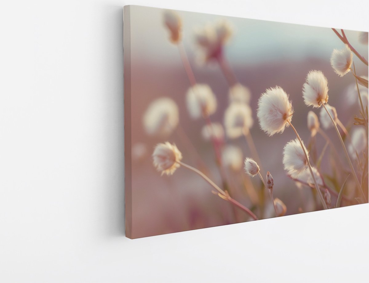 Saammp Canvas Schilderij - Fluffy - Bloemen - Natuur - 90x60 - Foto op canvas - Wanddecoratie - Muurdecoratie Woonkamer - Kantoor Decoratie Multicolor