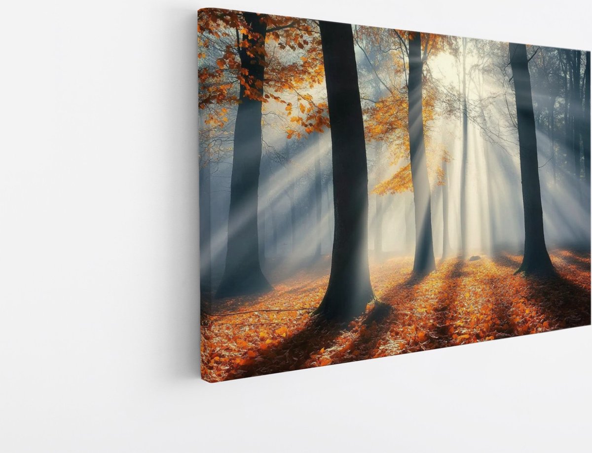 Saammp Canvas Schilderij - Natuur - Bos met mist - landschappen - 100x75 - Foto op canvas - Wanddecoratie - Muurdecoratie Woonkamer - Slaapkamer decoratie - Canvas Print Multicolor