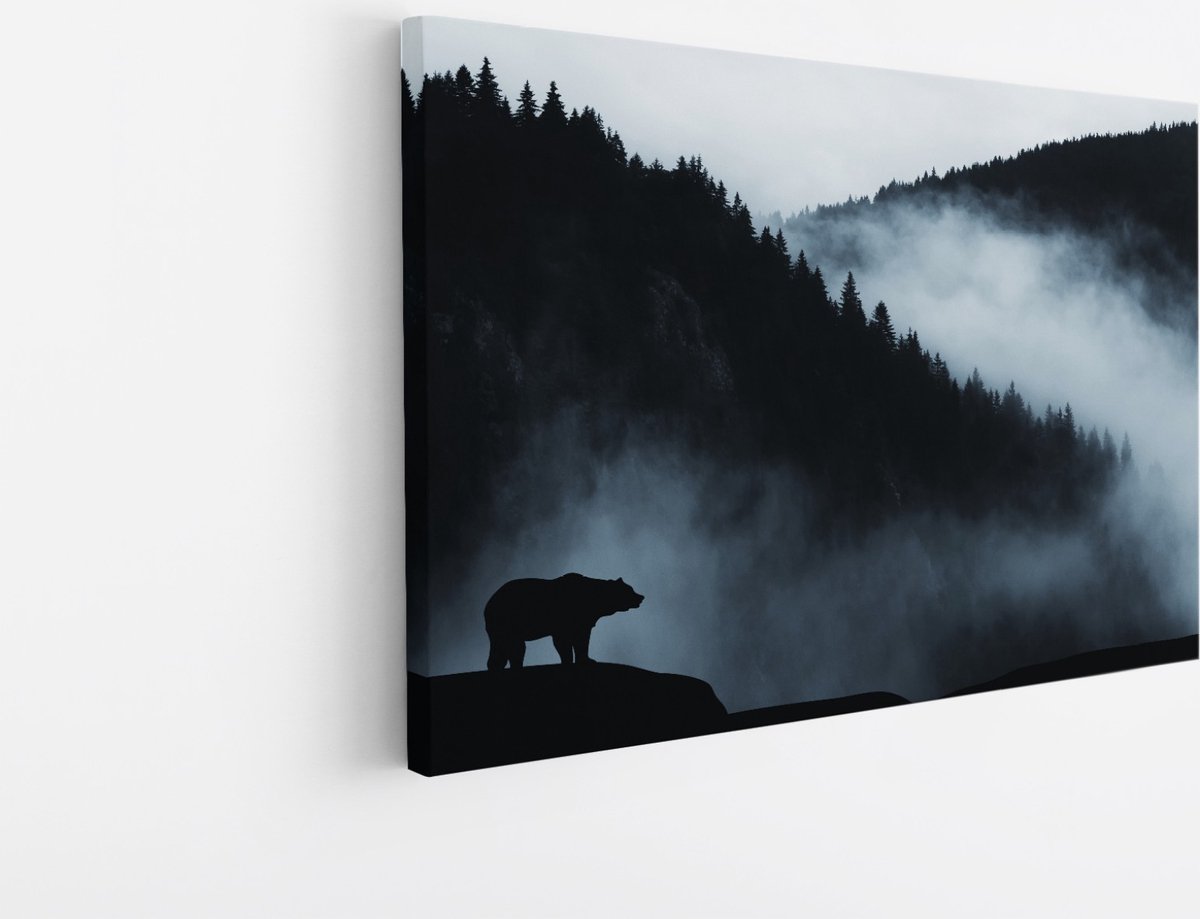 Saammp Canvas Schilderij - Beer op Rots - Landschap - Natuur - 30x20 - Foto op canvas - Wanddecoratie - Muurdecoratie Woonkamer - Slaapkamer decoratie - Canvas Print Multicolor