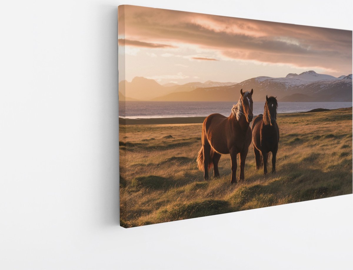 Saammp Canvas Schilderij - Paarden in de wei - Dieren - Natuur - 30x20 - Foto op canvas - Wanddecoratie - muurdecoratie Woonkamer - Slaapkamer decoratie - Canvas Print Multicolor