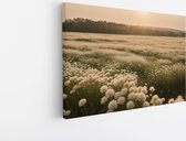 Saammp Canvas Schilderij - Landschap - Wit - Bloemenveld - Natuur - 40x30 - Foto op canvas - Wanddecoratie - Muurdecoratie Woonkamer - Slaapkamer decoratie - Canvas Print