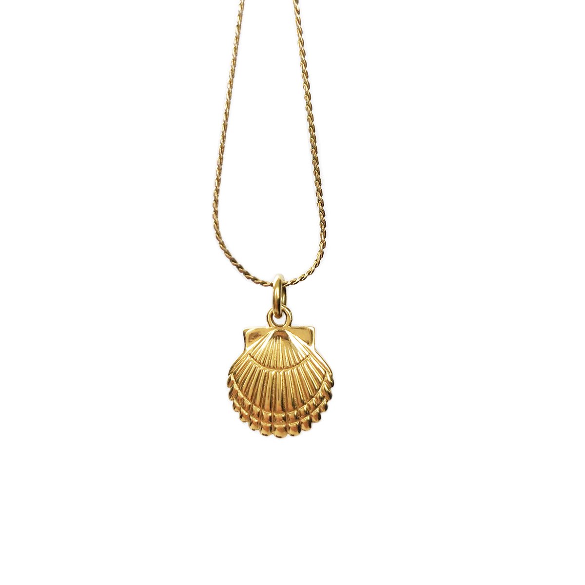 Laguna Treasures Jewellery - Ketting Oceaan Schelp - Goud - Verguld - Longbox ketting - Halsketting - Sieraden - Schelp - Schelpje