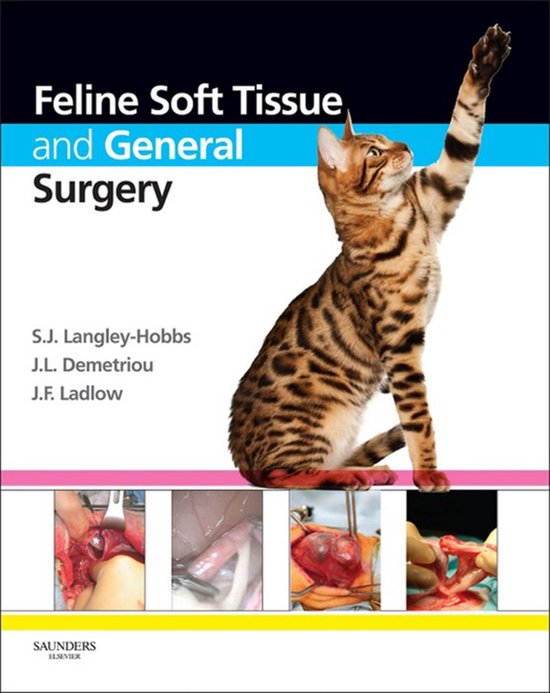 Feline Soft Tissue and General Surgery - cover