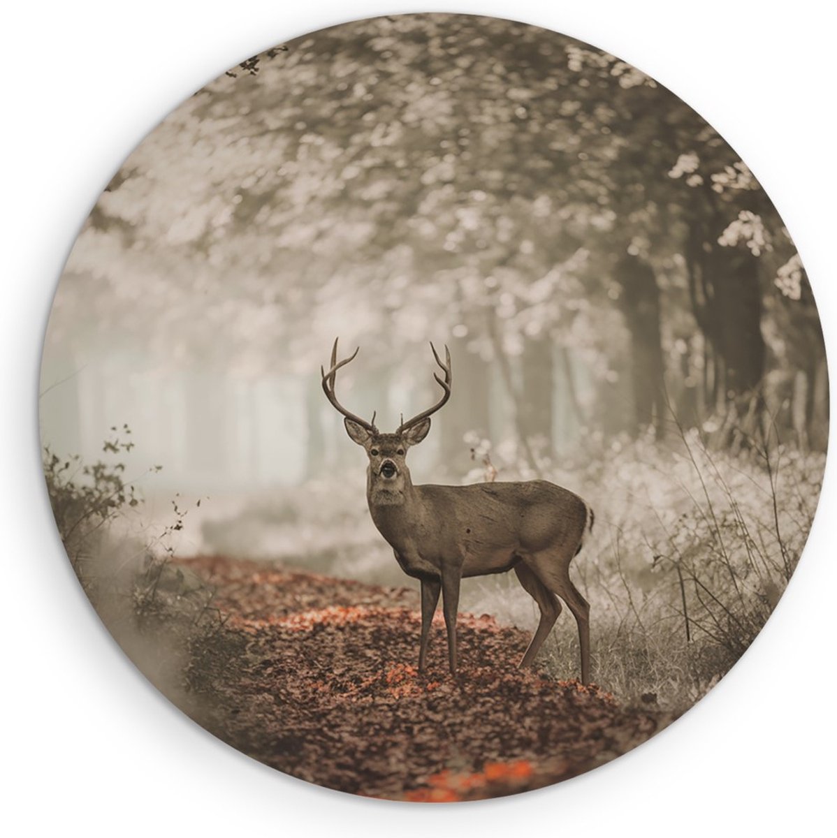 Saammp Muurcirkel Hout - Hert in bos tijdens de lente - Natuur - Dieren - Ø 90 - Wandcirkel - Wanddecoratie Cirkel - Muurdecoratie Woonkamer - Slaapkamer decoratie - Rond Schilderij