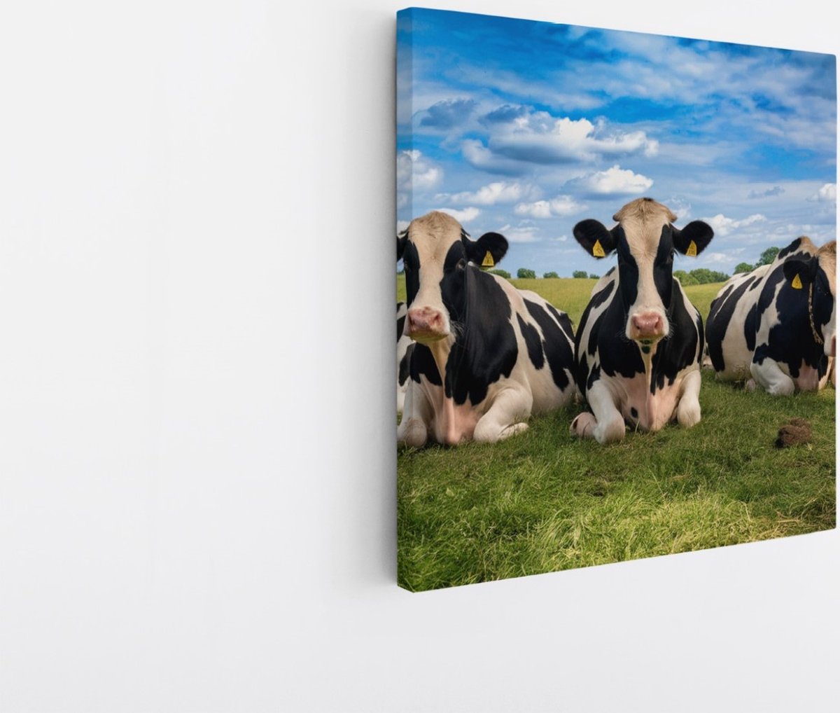 Saammp Canvas Schilderij - Groep koeien - Natuur - Dieren - 30x30 - Foto op canvas - Wanddecoratie - Muurdecoratie Woonkamer - Slaapkamer decoratie - Canvas Print Multicolor