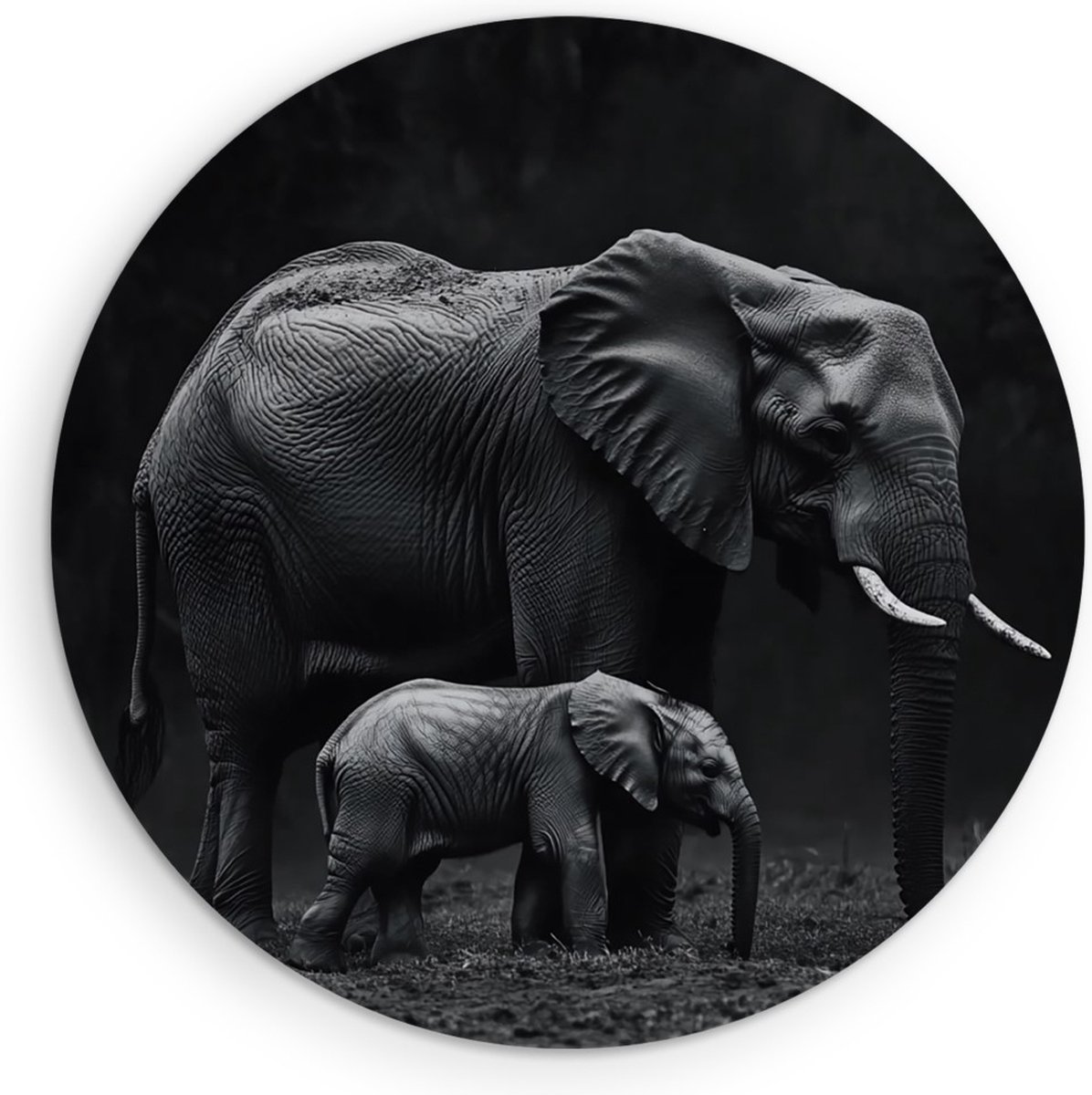 Saammp Muurcirkel Hout - Olifanten Familie in thailand - Zwart-Wit - Dieren - Ø 50 - Wandcirkel - Wanddecoratie Cirkel - muurdecoratie Woonkamer - Slaapkamer decoratie - Rond Schilderij