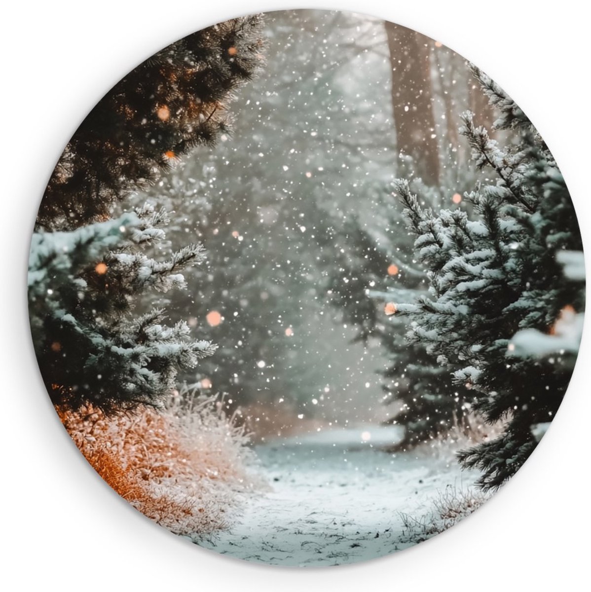 Saammp Forex Muurcirkel - Botanisch - Winterpad - Herfstachtig - Landschap - Natuur - Ø 80 - Wandcirkel - Wanddecoratie Cirkel - Muurdecoratie Woonkamer - Slaapkamer decoratie - Rond Schilderij