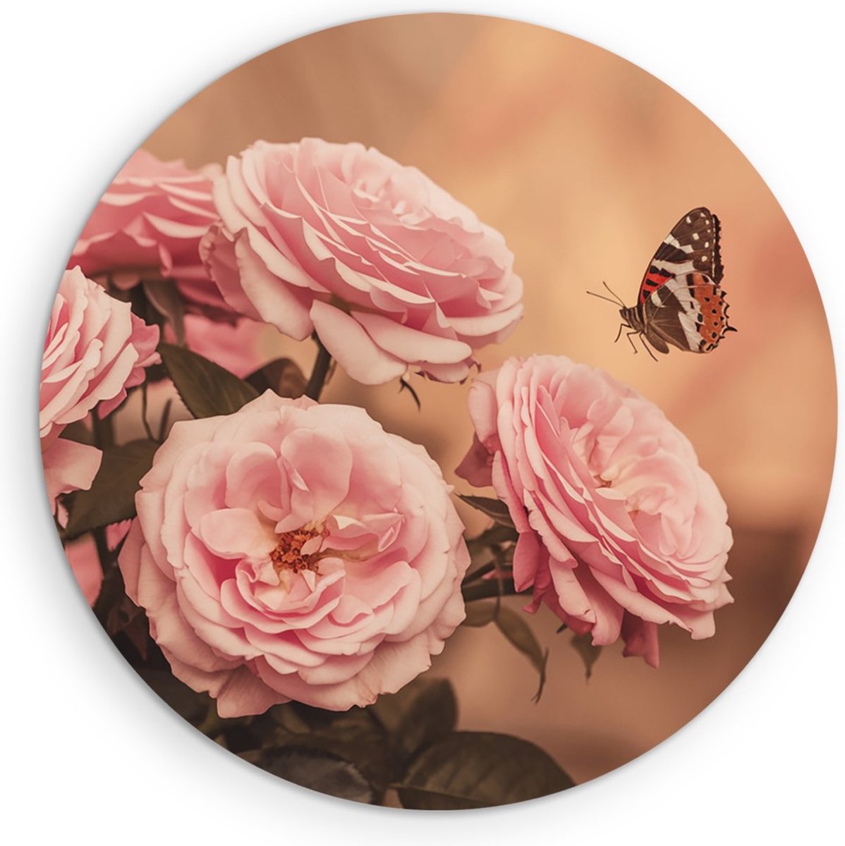 Saammp Muurcirkel Hout - Vlinder bij roze rozen - Bloemen - Dieren - Natuur - Ø 70 - Wandcirkel - Wanddecoratie Cirkel - muurdecoratie Woonkamer - Slaapkamer decoratie - Rond Schilderij