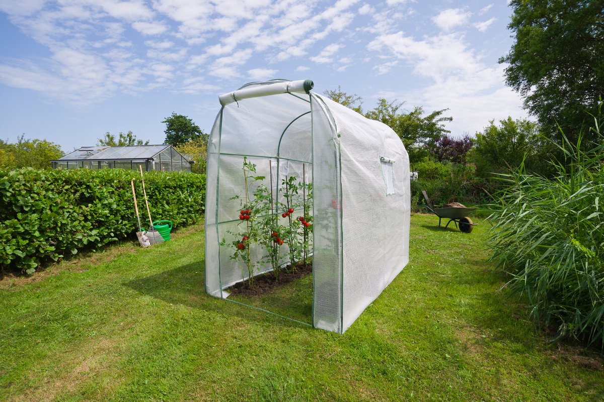 Talen Tools Nature Serre à tomates - H200x228x132cm
