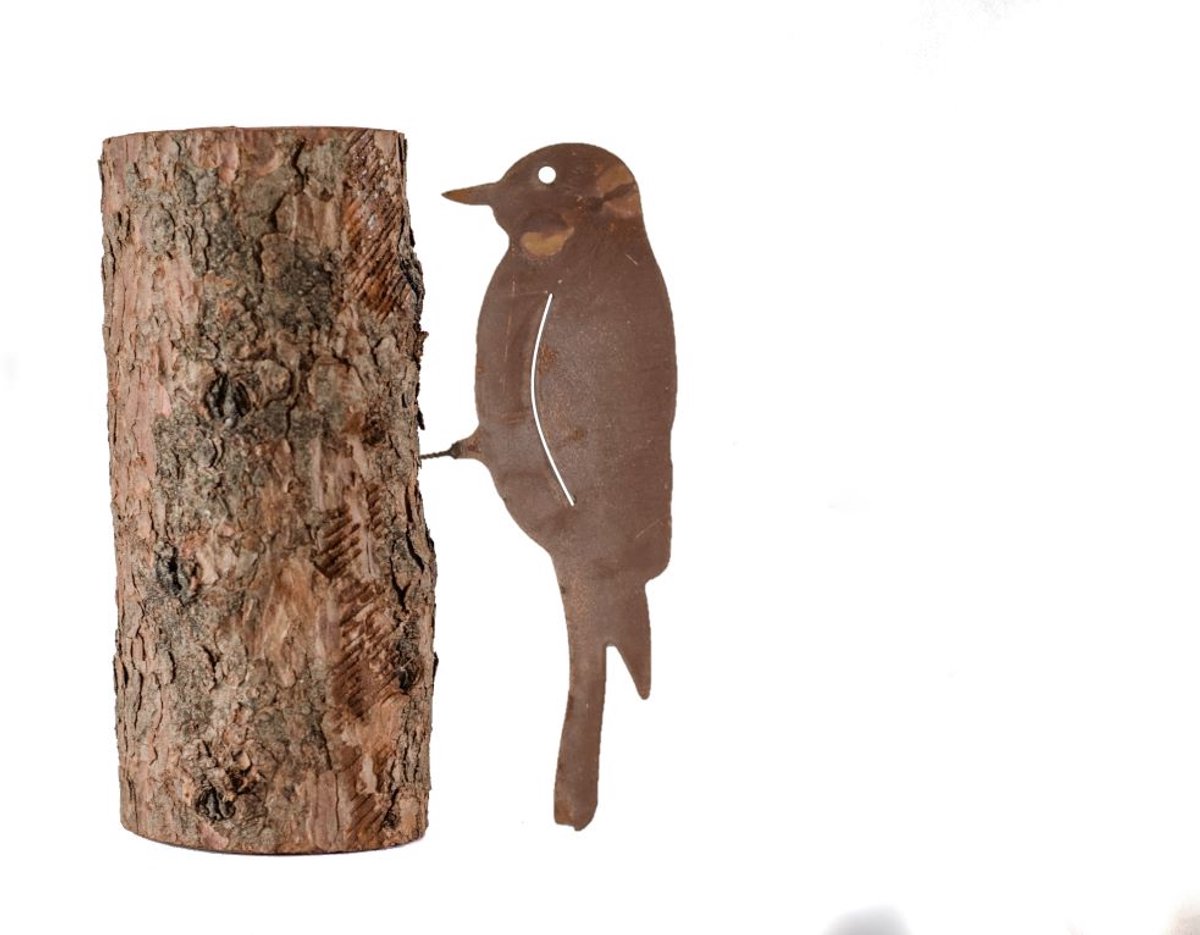 Iron Art - wanddecoratie - ecoroest - schroeffiguur - schroefvogel - cortenstaal - tuin - boom - hek - specht