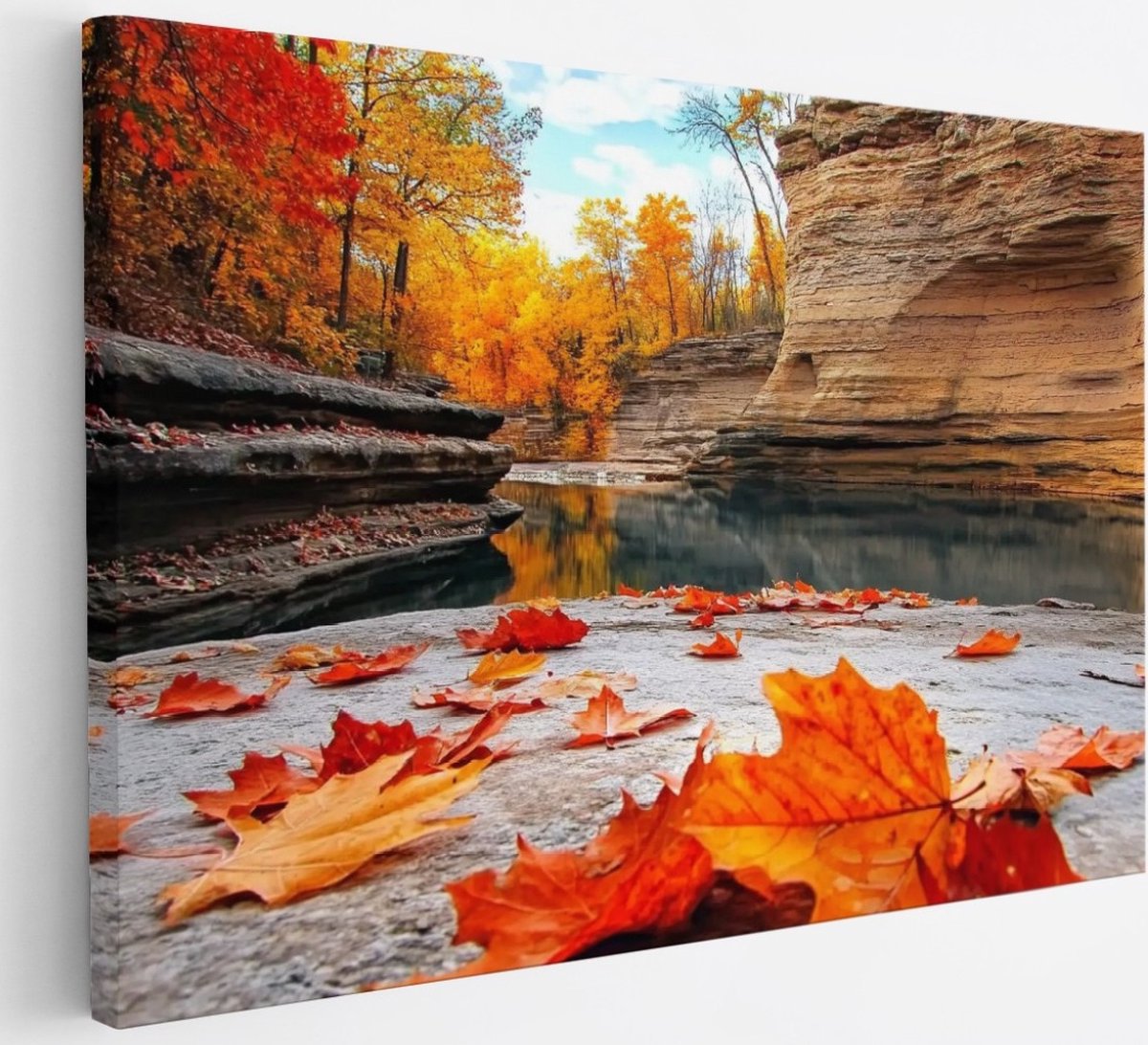 Saammp Canvas Schilderij - Rode Bladeren op steen - Natuur - Landschap - 30x20 - Foto op canvas - Wanddecoratie - Muurdecoratie Woonkamer - Slaapkamer decoratie - Canvas Print Multicolor