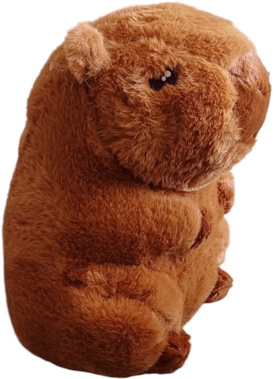 Capibara, Pantoffels, Schattig Capibara, Pluche Pantoffels, Huis, Warm