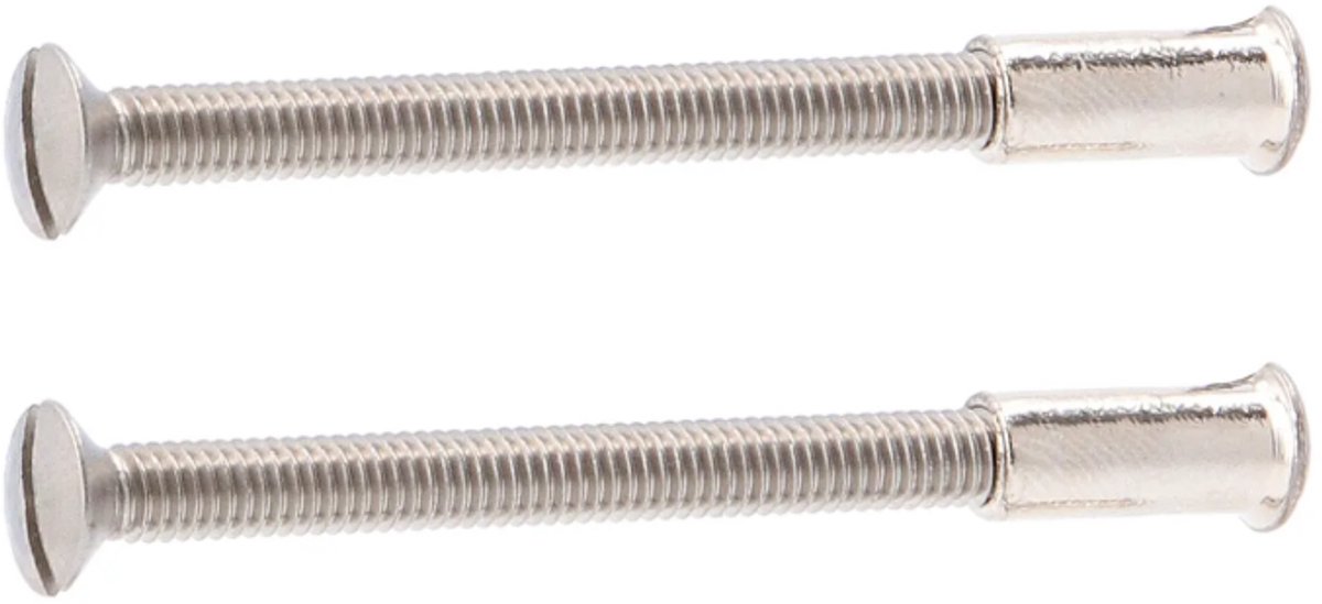 Patentbout RVS M4x45mm 2 stuks