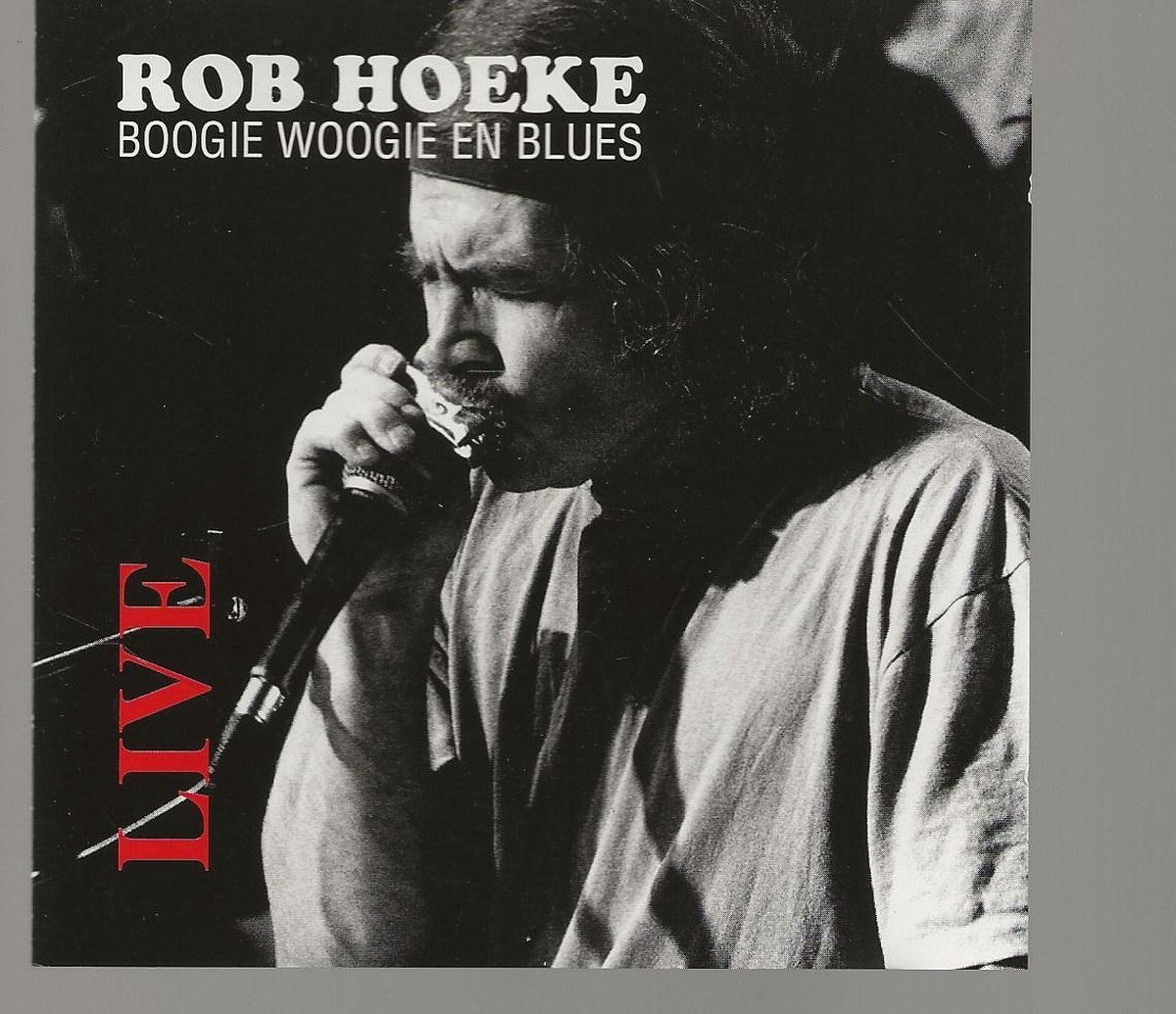 ROB HOEKE LIVE BOOGIE WOOGIE & BLUES
