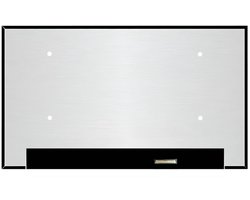 LCD Scherm geschikt voor MSI GE66 Raider 10UH-013NL