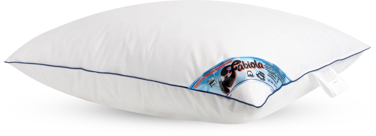 Fabiola Dons kussen | half dons kussen | Heerlijk soepel en moduleerbaar | Duurzaam kussen met Downpass beter leven keurmerk 60x70cm Verantwoord dons kussen