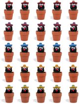 DutchLeafs Cactussen Mexicaan Sombrero in Terracotta Bloempot - 20 Stuks - Kwekerspot 5,5 cm - Hoogte 8-15 cm - Mini Cactussen - Kamerplanten