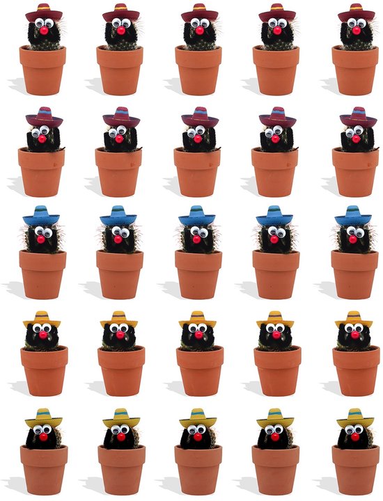 DutchLeafs Cactussen Mexicaan Sombrero in Terracotta Bloempot - 20 Stuks - Kwekerspot 5,5 cm - Hoogte 8-15 cm - Mini Cactussen - Kamerplanten