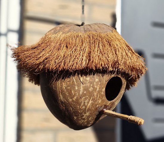 Kokosnoten Vogelhuis - Handgemaakt en Uniek