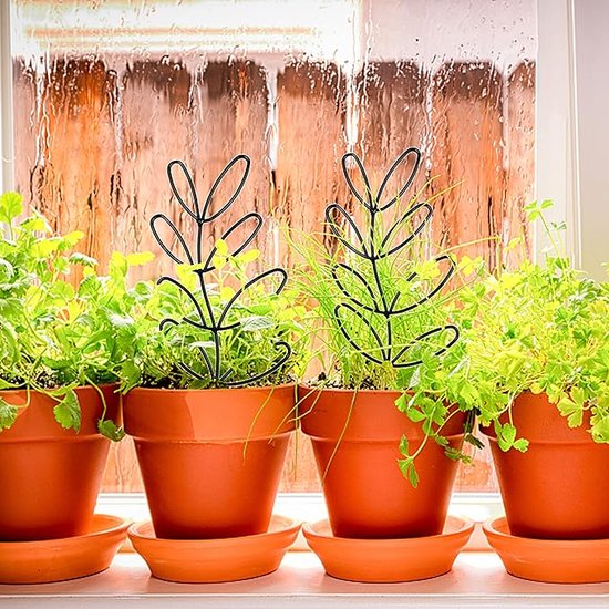 Zwarte, metalen plantensteunen met bladvormige structuur in terracotta potten met groene plantjes, op een vensterbank met regen.