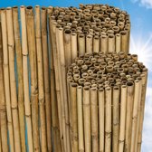Sol Royal B38 – Balkonscherm Bamboe 180x250cm – Duurzaam & Weerbestendig – 100% Bamboe Privacyscherm Tuin