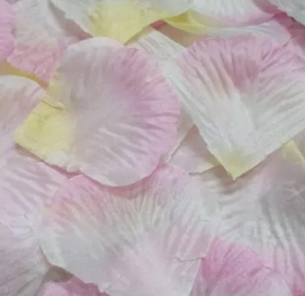 500 Rozenblaadjes Roze- Geel - Trouwen-Charme Bijoux