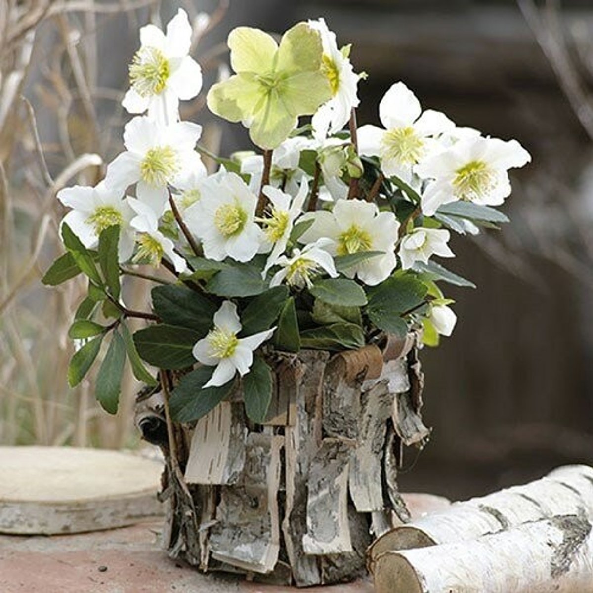 Ambiente - Lunch servetten - White Christmas rose