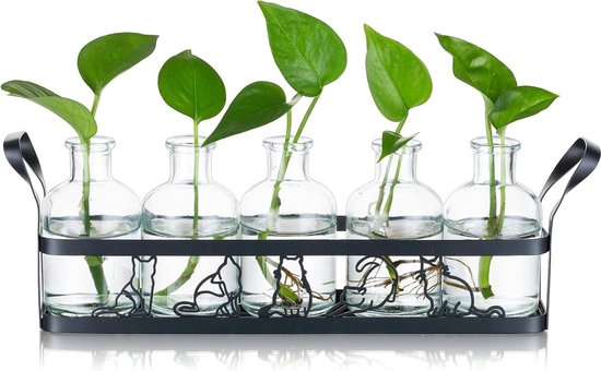 Plantenhouder Voor Het Aquarium En De Vissentank,4 Stuks