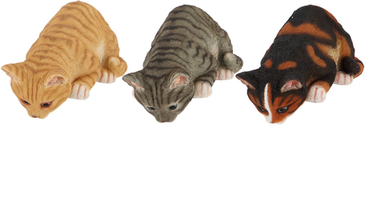 vensterbank kat poes beeld