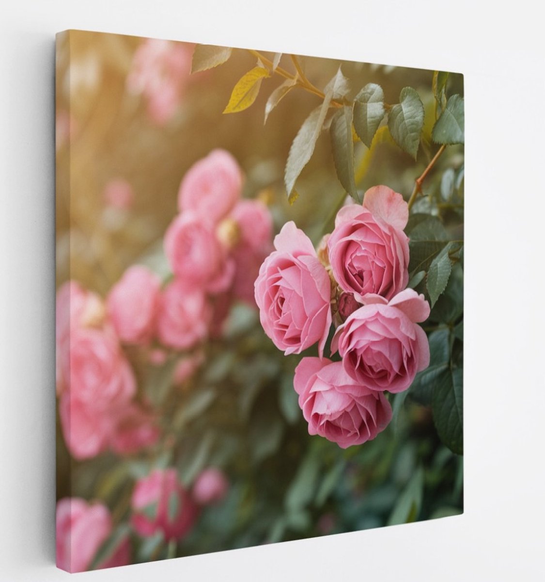 Saammp Canvas Schilderij - Rozen in Tuin - Natuur - Romantisch - 100x100 - Foto op canvas - Wanddecoratie - Muurdecoratie Woonkamer - Slaapkamer Decoratie Multicolor