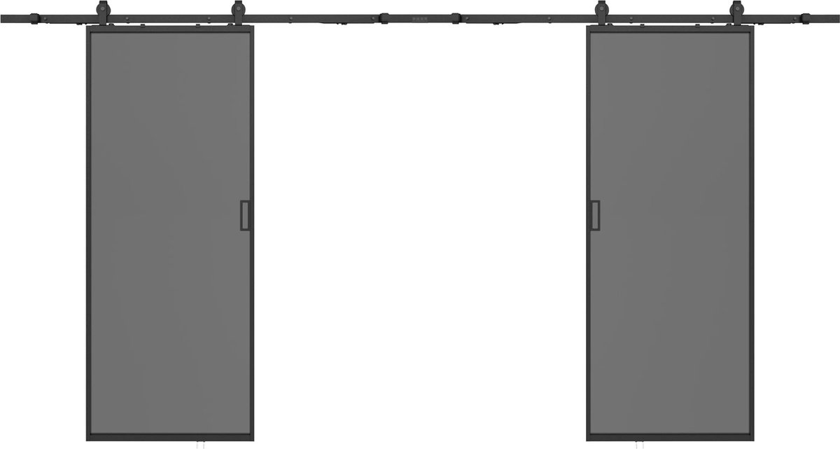 Vente-unique Dubbele schuifdeur met opbouwsysteem - Aluminium en gehard rookglas - 2 x H205 x L93 cm - LINCI II