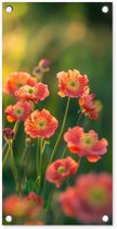 Tuinposter 30x60 cm - Tuindecoratie Bloemenveld - Zonnestralen - Oranje - Poster voor in de tuin - Buiten decoratie - Schutting tuinschilderij - Tuindoek muurdecoratie - Wanddecoratie balkondoek