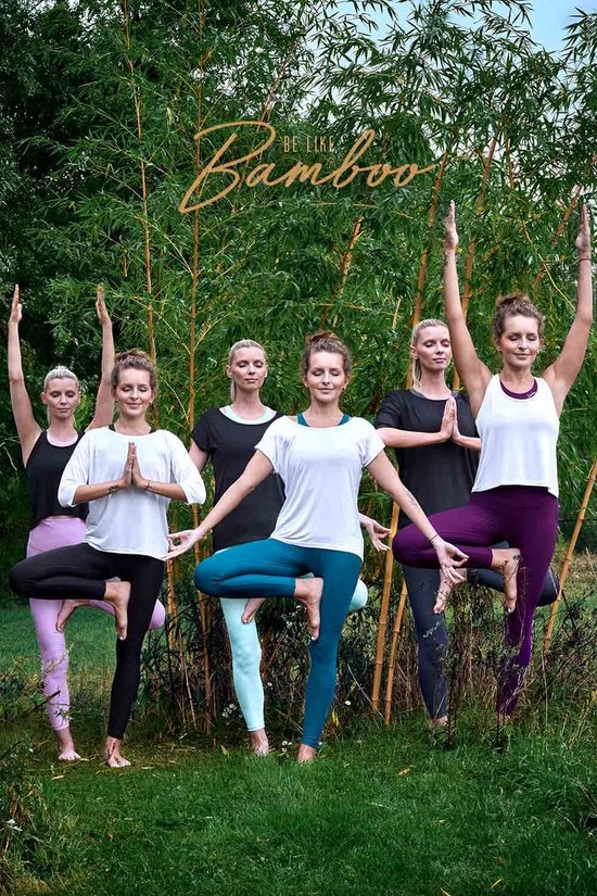 Groep vrouwen die yoga beoefenen in een bamboebos. Verschillende kleuren outfits: paars, blauw, wit, zwart.