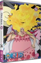 One Piece - Seizoen 36 - DVD - Import