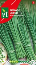 Bieslook Allium schoenoprasum - Fijne bieslook met zachte uiensmaak voor vers en gezond