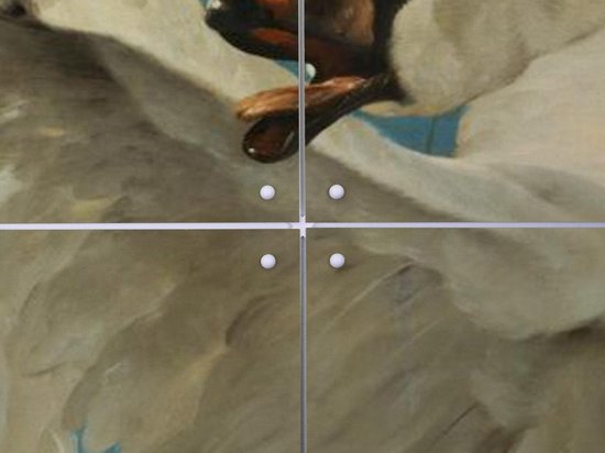 IXXI De bedreigde zwaan, Jan Asselijn & Rijksmuseum - 80 x 60 cm