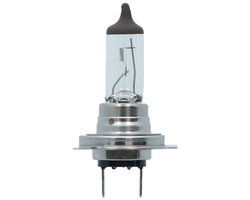 Carpoint Premium Autolamp H7 12V 55W - Helder Licht - Energiezuinig - Universeel Geschikt