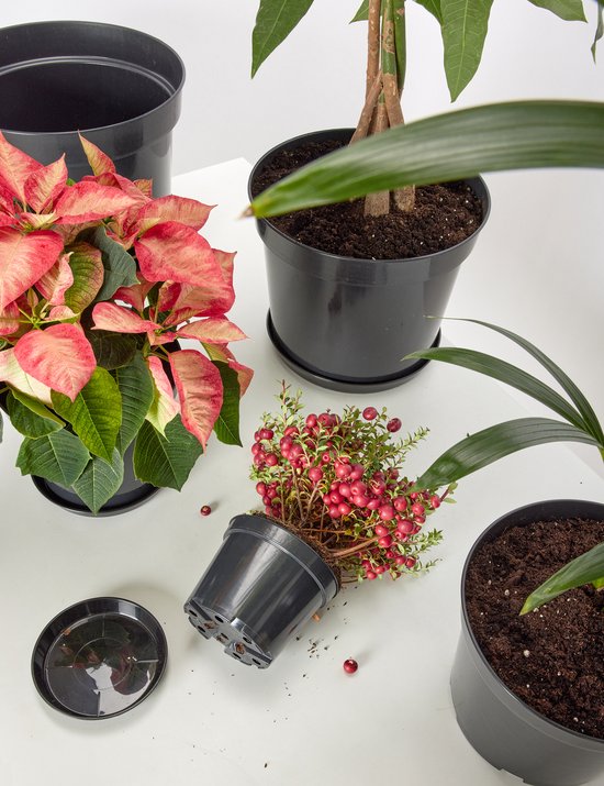 Garronda Ronde Bloempot Onderzetter – 5 stuks – Zwart - ⌀ 17cm H=2,5cm - GD-NIC-PotBase108