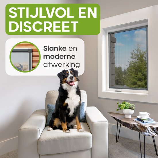 Moderne woonkamer met een hond op een stoel en een stijlvol, discreet raamhor.