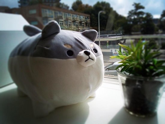 3 angry cheap shiba pillow