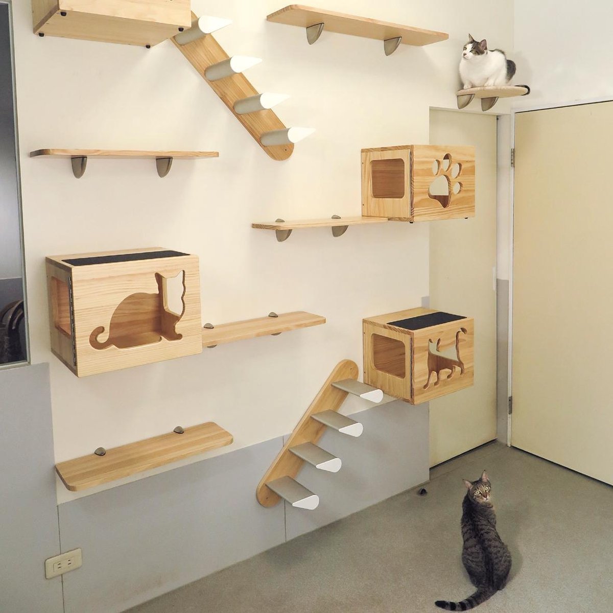 Katten klimmuur box – CatsClimber | bol.com
